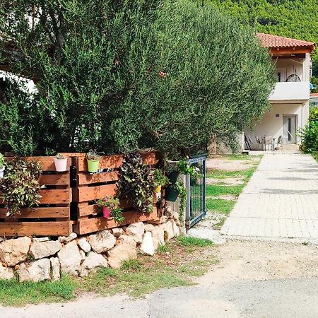 Apartmani Maslina Žuljana Kültér fotó