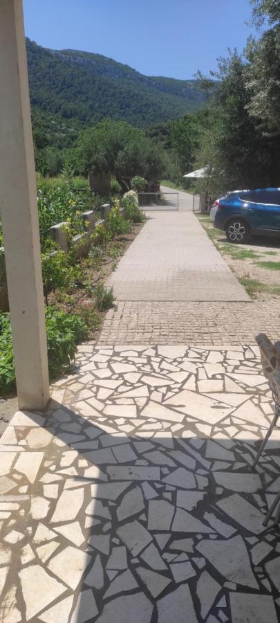Apartmani Maslina Žuljana Kültér fotó